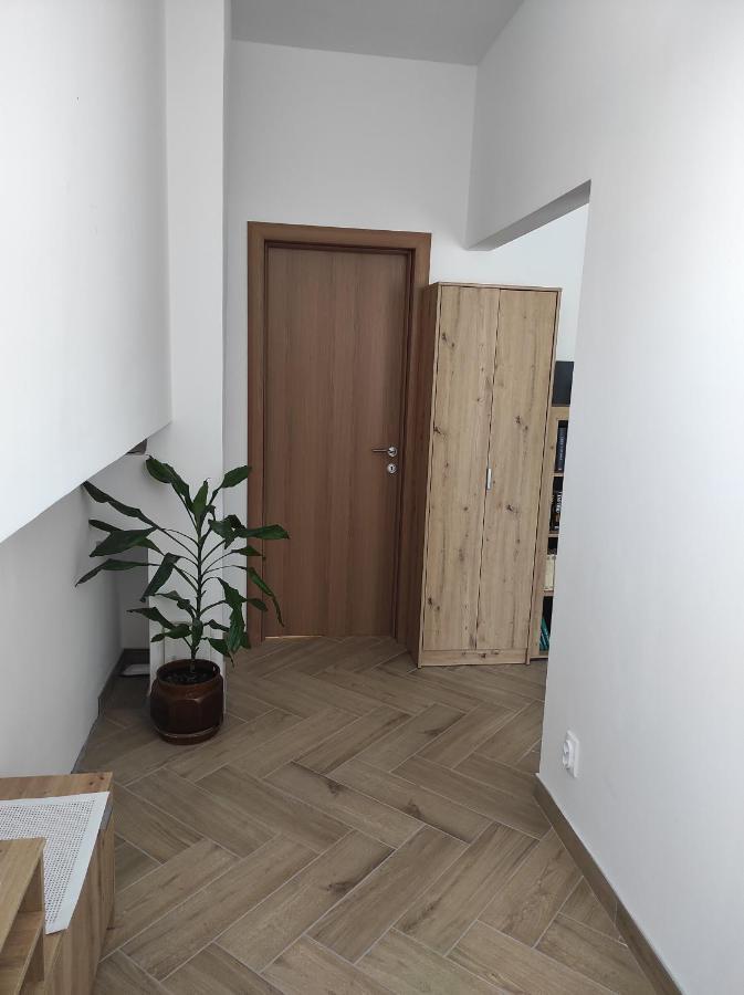 Andrea Airport Apartments 베오그라드 외부 사진