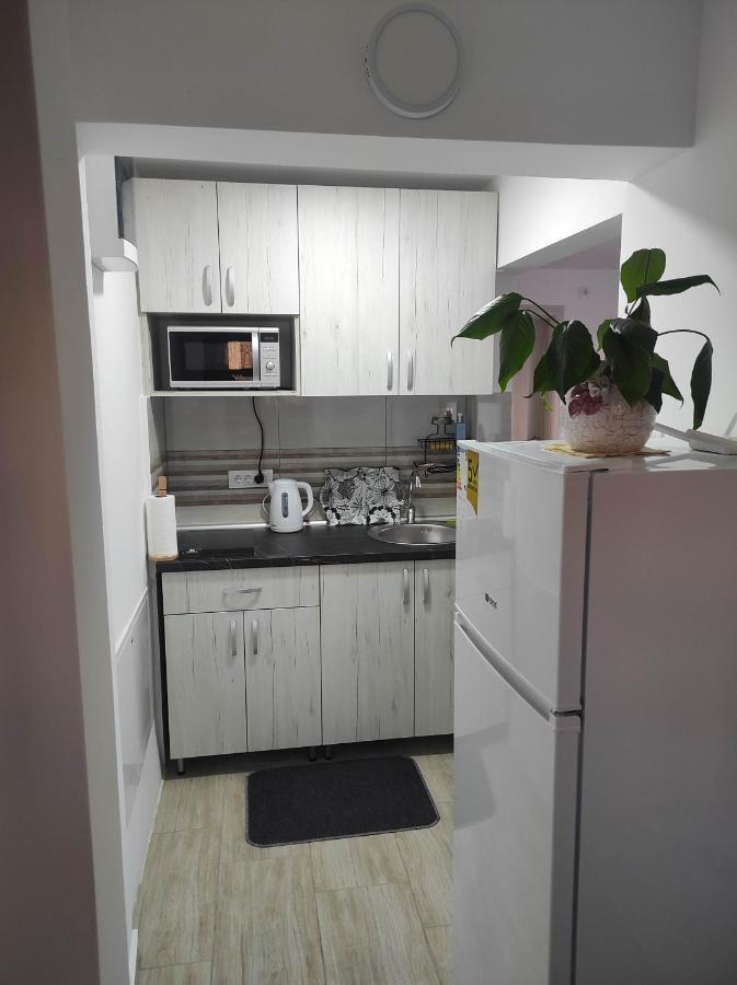 Andrea Airport Apartments 베오그라드 외부 사진