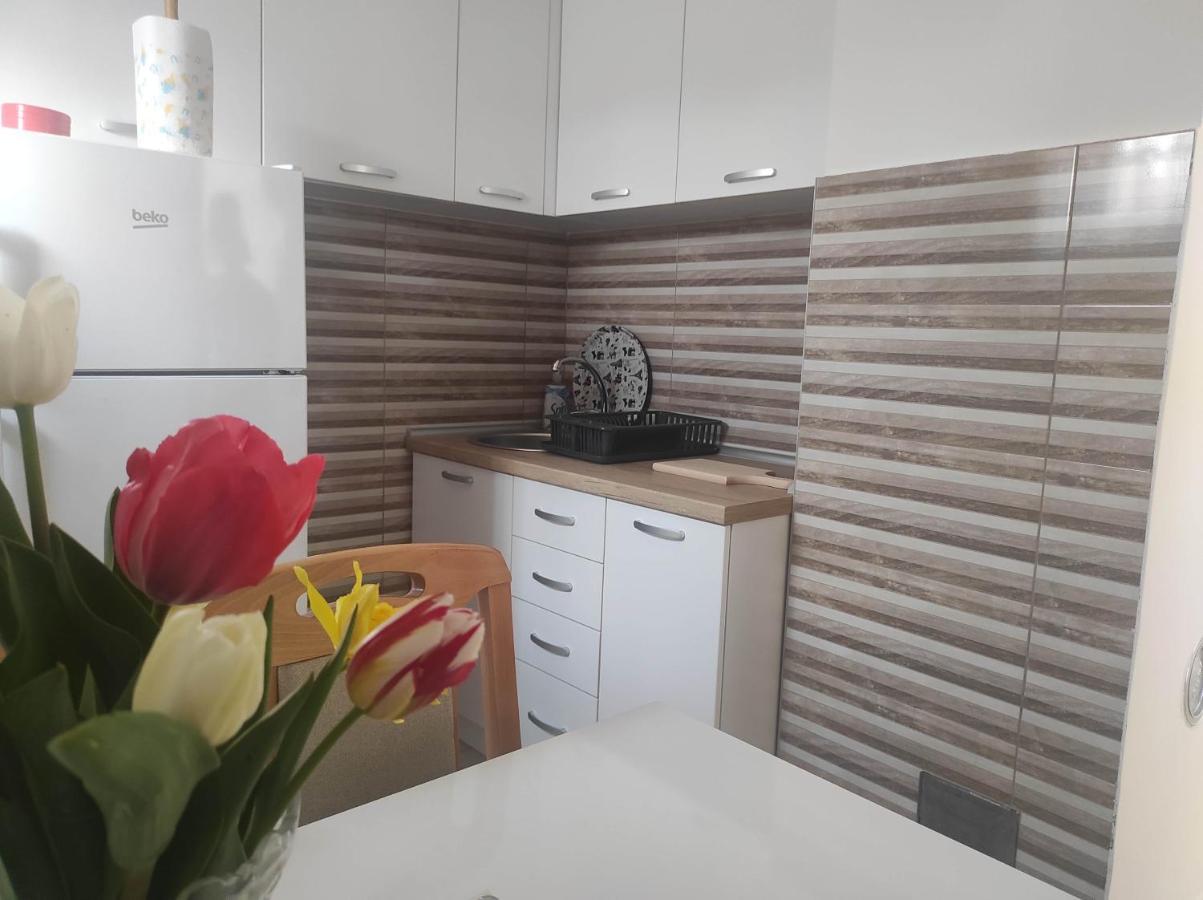 Andrea Airport Apartments 베오그라드 외부 사진